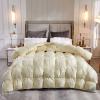 XQKXHZ Lightweight Blankets, Warm and Fluffy Duvet Insert, Queen Size Microfiber Quilted Blanket, Ultra Soft and Breathable Down Duvet, All Seasons Bedding Comforter, 200x230cm - 4.5kg,Beige view 1