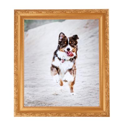 ArtToFrames 8x12 Inch Gold Picture Frame, This 1.50 Inch Custom Wood Poster Frame is Bright Gold - Comes with Foam Backing 3/16 inch and Regular Glass (FBPL0066-82214-030-8x12)