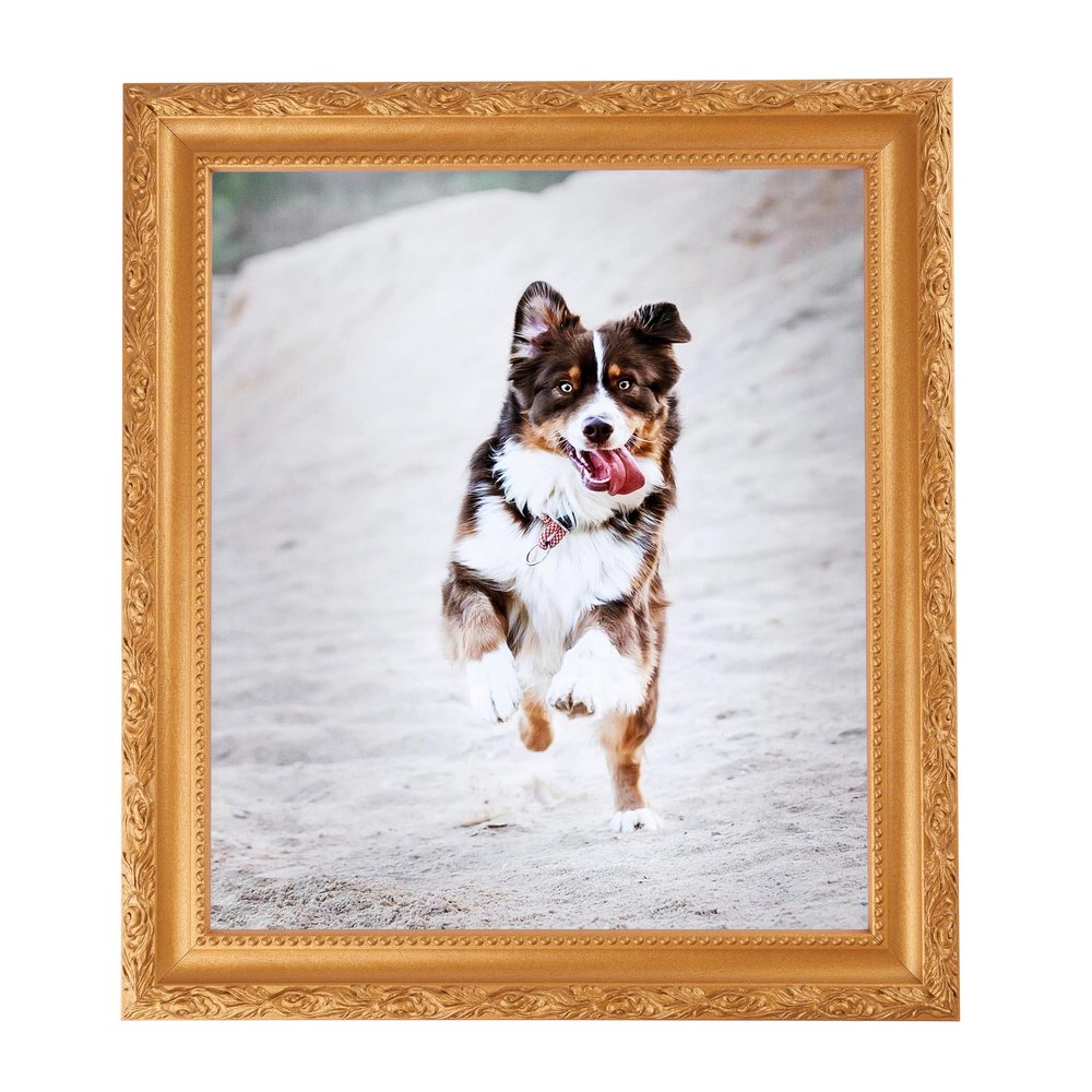 ArtToFrames 8x12 Inch Gold Picture Frame, This 1.50 Inch Custom Wood Poster Frame is Bright Gold - Comes with Foam Backing 3/16 inch and Regular Glass (FBPL0066-82214-030-8x12)