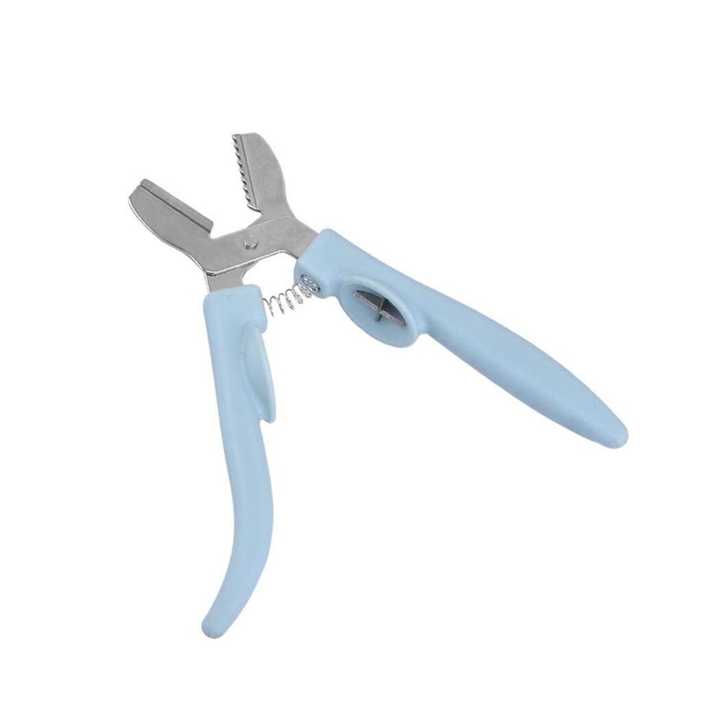 Nut Cracker Tool Stainless Steel Chestnut Clip New Creative Plastic Stainless Steel Walnut Clip Sheller Chestnut Walnut Opener Kitchen Tool Nutcracker Pecan (Color : Sky Blue)