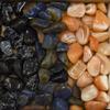 1 lb Tumbled Stone Collection Snowflake Obsidian Dumotierite Banded Carnelian view 4