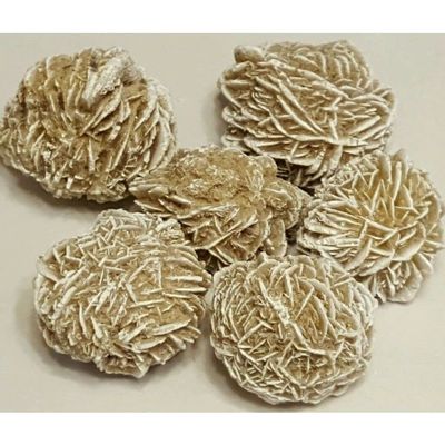 1 Large Desert Sand Selenite Rose Gypsum Gemstone Crystal Rock 1"-2" Baryte