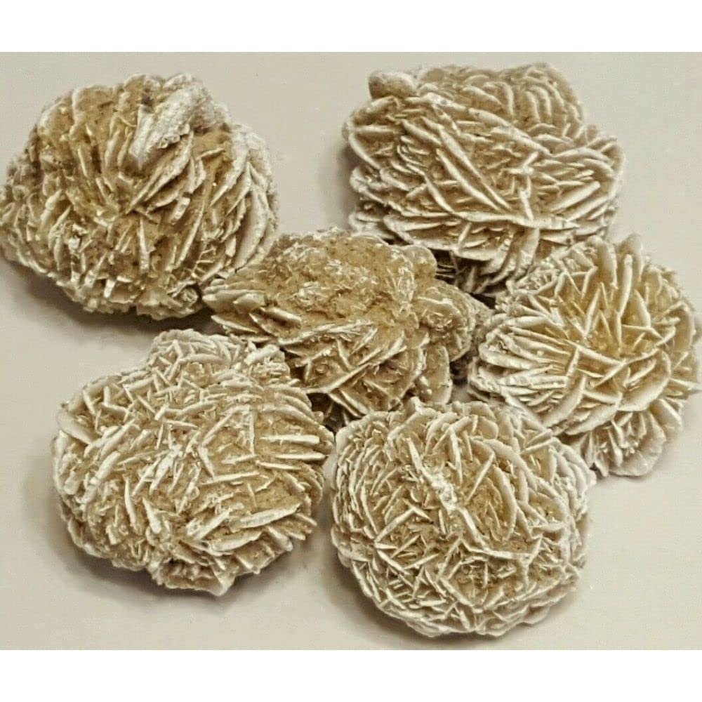 1 Large Desert Sand Selenite Rose Gypsum Gemstone Crystal Rock 1"-2" Baryte