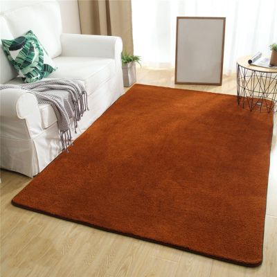 BAILR Super Soft and Comfy Carpet 3147inch, Fluffy Indoor Plush Rectangle Rugs, Non Slip Comfy Living Room Carpets, for Dorm Home Decor Nursery Kids Room