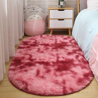 BAILR Fluffy Rug Plush Living Room Carpet 3179inch, Soft Shaggy Rugs, Non Slip Comfy Living Room Carpets for Nursery, Kids, Boys Room Decor, Super Soft Rug