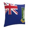 CUTEDWARF Flag of British Virgin Islands 18 * 18 Inch Square Pillowcase for Home Sofa Decoration (Pillow Core Not Included) view 2