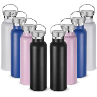 Neihepal 20 oz Insulated Water Bottles,Stainless Steel Double Wall Sport Bottle with Lid of Handle (8, Mix)