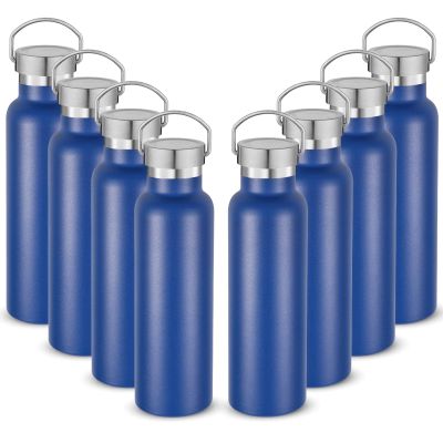 Neihepal 20 oz Insulated Water Bottles,Stainless Steel Double Wall Sport Bottle with Lid of Handle (8, Navy)