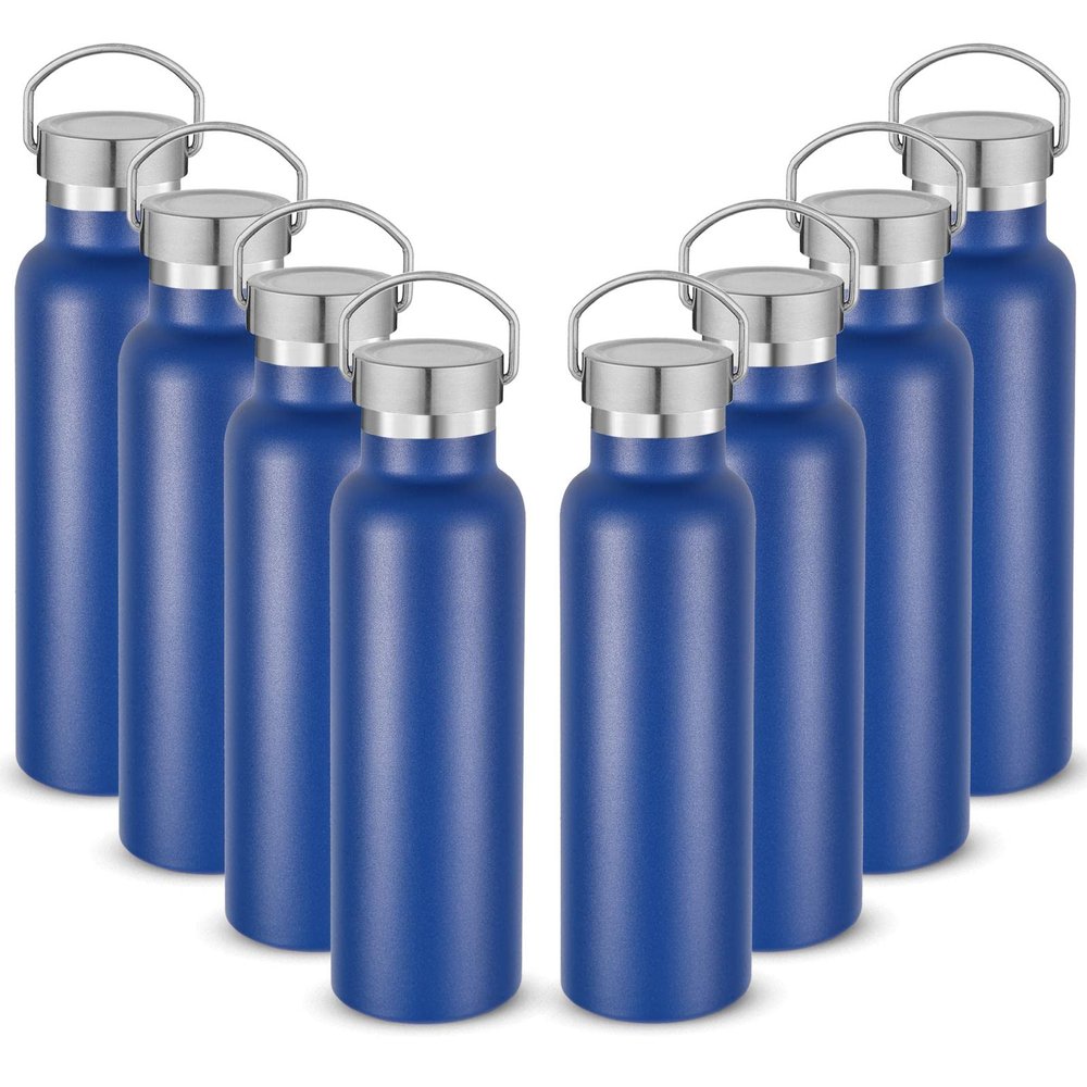 Neihepal 20 oz Insulated Water Bottles,Stainless Steel Double Wall Sport Bottle with Lid of Handle (8, Navy)