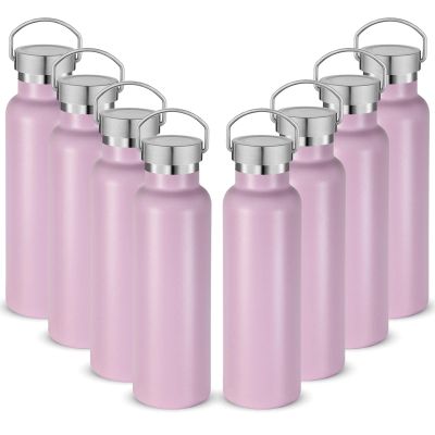 Neihepal 20 oz Insulated Water Bottles,Stainless Steel Double Wall Sport Bottle with Lid of Handle (8, Pink)