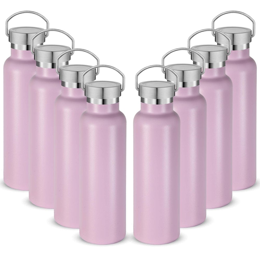 Neihepal 20 oz Insulated Water Bottles,Stainless Steel Double Wall Sport Bottle with Lid of Handle (8, Pink)