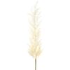 SilksAreForever 50.5" Blooming Artificial Pampas Grass Stem -Beige (Pack of 12) view 1