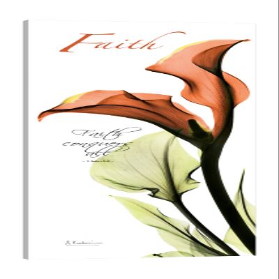 Jaxson Rea "Calla Lily Faith Gallery Wrapped Canvas by Albert Koetsier, 15" x 45"