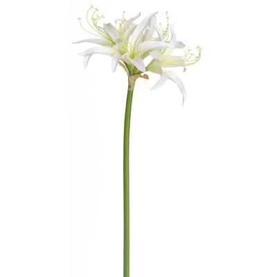SilksAreForever 29" Silk Spider Amaryllis Flower Stem -Cream (Pack of 12)