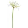 SilksAreForever 29" Silk Spider Amaryllis Flower Stem -Cream (Pack of 12) view 1