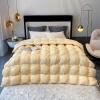 XQKXHZ Goose Down Comforter Duvet Insert, Pinch Pleat Comforter for All Seasons Cozy & Warm Comforter, Luxurious Winter Soft and Breathable Down Duvet, 150x200cm- 3.5kg,Beige view 2