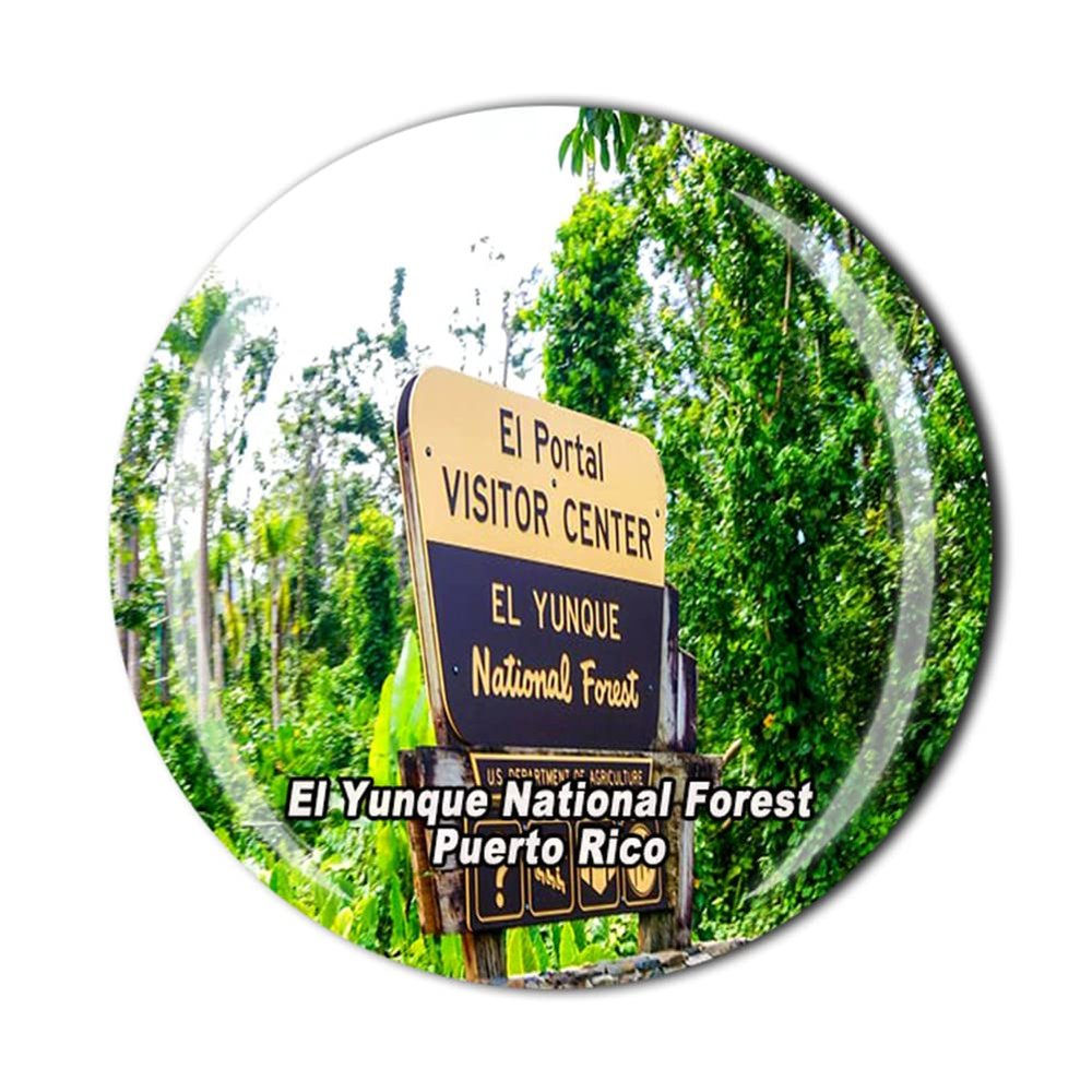 El Yunque National Forest Rio Grande Puerto Rico USA America Fridge Magnet Souvenir Gift