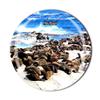 Houtbaai Cape Town South Africa Fridge Magnet Tourist Souvenir Gift Collection Refrigerator Crystal Magnetic Sticker view 1