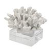 A&B Home Coral Sculpture - White Coral Figurine with Glass Base Centerpiece Table Dcor, Nautical Home Dcor, 9" x 8" x 7" view 1
