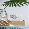 A&B Home Coral Sculpture - White Coral Figurine with Glass Base Centerpiece Table Dcor, Nautical Home Dcor, 9" x 8" x 7" view 3