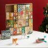 Playmobil Wiltopia DIY Advent Calendar view 2