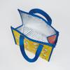 Skater FBC1-A Lunch Bag, Non-Woven Fabric Insulated Bag, Miffy, 21 view 2
