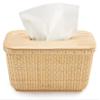 Teng Jin Nantucket Desk Baskets Cane-on-cane weave Tissue Holders for Bathrooms Oblong Tissue view 3