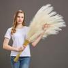 7 Pcs 45" Faux Pampas Grass  Fluffy Artificial Pompous Grass for Tall Floor Vase, Non-Shedding Home Decor, Boho Wedding Flowers, Baby Shower Centerpieces, Bedroom & Living Room Decor (Beige) view 1