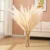7 Pcs 45" Faux Pampas Grass  Fluffy Artificial Pompous Grass for Tall Floor Vase, Non-Shedding Home Decor, Boho Wedding Flowers, Baby Shower Centerpieces, Bedroom & Living Room Decor (Beige) view 4