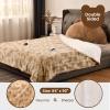 Bearhug Electric Blanket Queen Size 84" x 90", Dual Controller Heated Blanket, Faux Fur & Sherpa, 10-Heat Levels & 1-12H Auto Off, Over-Heat Protect, ETL, Machine Washable view 2