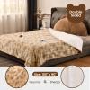 Bearhug Electric Blanket King Size 100" x 90", Dual Controller Heated Blanket, Faux Fur/Sherpa 10-Heating Level & 1-12H Auto Off, Champagne, Over-Heat Protect, ETL, Machine Washable view 2