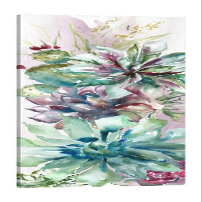 Jaxson Rea "Succulent Garden II Gallery Wrapped Canvas by Tre Sorelle Studios, 15" x 45"