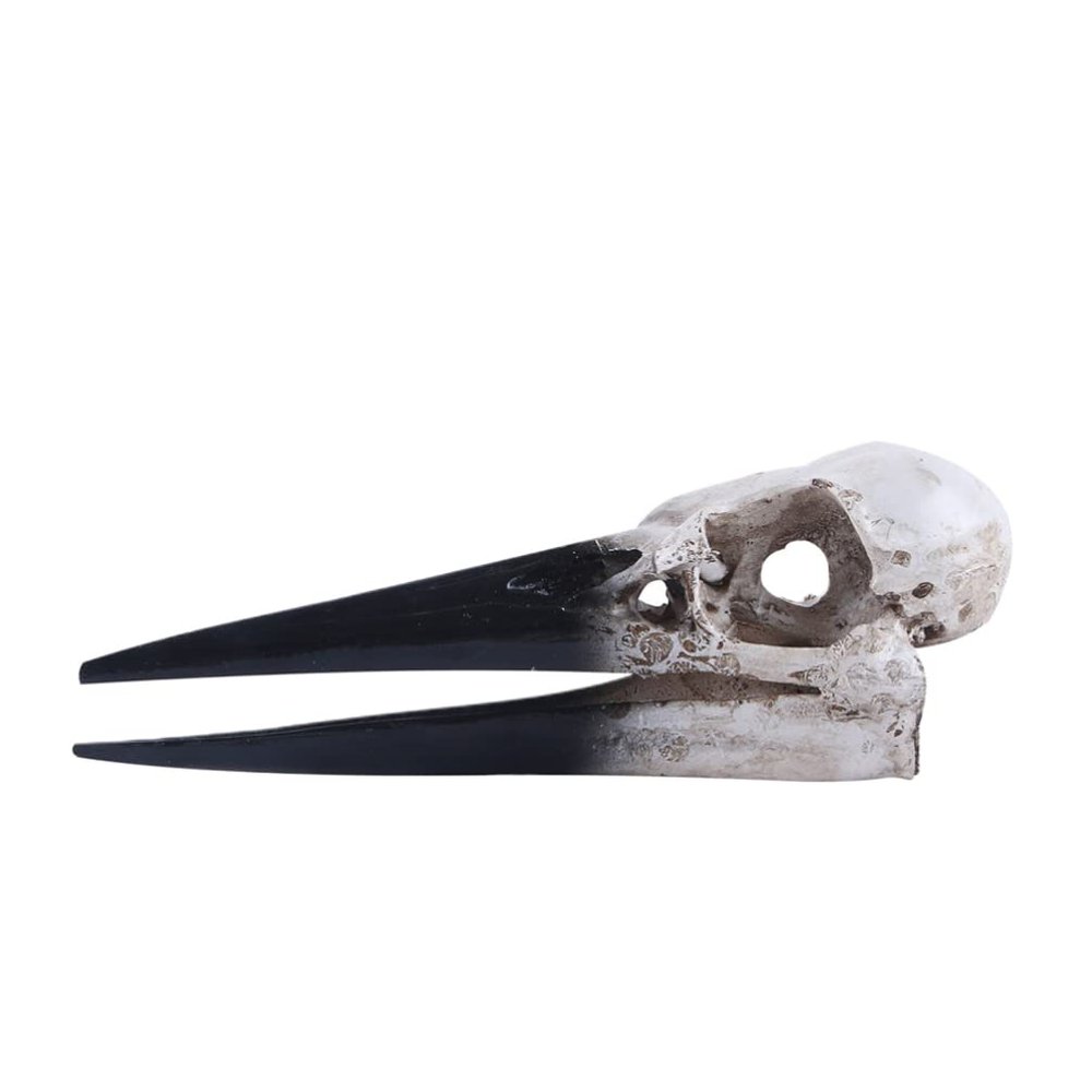 1pc Bird Skull Ornament for Wine Cabinet Resin Ornament Bird Skull Decoration Resin Adornment Bird Bone Ornament