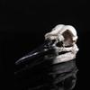 1pc Bird Skull Ornament for Wine Cabinet Resin Ornament Bird Skull Decoration Resin Adornment Bird Bone Ornament view 4