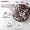 ZAICUS 1lb Narmada Tumbled Stones | Polished Crystals Healing | Natural Stones | Feng Shui | Chakra Balancing | Good Luck | Reiki Gift | Home Decor | Size 20-25 mm view 2