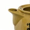 SPT SS-0340B: 3.4L Medicine Cooker view 2