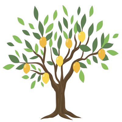 Home Art Lemon Tree Decoration Multicolored Art Design Kids Bedroom Vinyl Adhesive Wall Decal - 21" x 28" Family Living Room Mango Tree Yellow Fruit Easy to Apply Wall Dcor Sticker