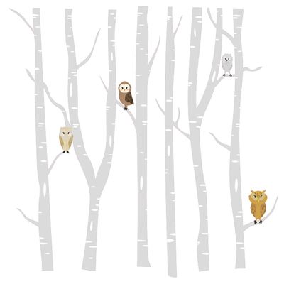Multicolored Wall Art Wild Forest with Trees and Animals Decoration Different Breeds of Owls Design Kids Nursery Bedroom Wall Decal - 21" x 28" Home Living Room Adhesive Jungle Wall Sticker