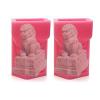 AOPPLSOT Silicone Mold for Statue of Lion Concrete Molds 2pcs of Set Chinese Style Desk Craft Decorative Fu Foo Dogs Guardian,Pink view 1