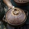 Clay Pot for Cooking Japanese Ceramic Hot Pot Donabe Casserole Korean Earthenware Pot with Lid, Heat Storage and Energy Saving, Easy to Clean (Size : 1.4L) view 4