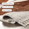 nuLOOM Kali Rust/Ivory, 5'3" x 7'6", Tribal Abstract, Shag, Soft and Plush, High Traffic, Stain Resistant, Easy Clean, Durable Area Rug for Bedroom, Living Room, Dining Space, Den, Foyer, Entryway view 4