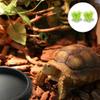 ibasenice 6 Pcs Box Turtle Tank Humidifier Reptile Fountain Reptile Plants Amphibia Reptile Air Humidifier Gecko Accessories for Natural Gas Cloth Crawl view 2