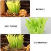 ibasenice 6 Pcs Box Turtle Tank Humidifier Reptile Fountain Reptile Plants Amphibia Reptile Air Humidifier Gecko Accessories for Natural Gas Cloth Crawl view 3