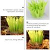 ibasenice 6 Pcs Box Turtle Tank Humidifier Reptile Fountain Reptile Plants Amphibia Reptile Air Humidifier Gecko Accessories for Natural Gas Cloth Crawl view 4