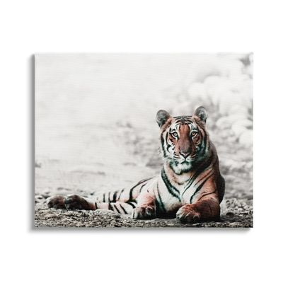 Stupell Industries Tiger Cat Resting Animal Portrait Striped Feline, Design by Danita Delimont