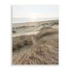 Stupell Industries Muted Beach Sunrise Tall Grass Soft Sand Dunes, Design by Alan Majchrowicz view 1