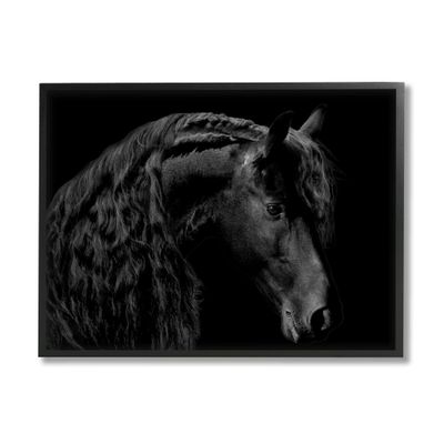 Stupell Industries Black Stallion Portrait Braided Horse Mane Modern Photography, Design by Samantha Carter