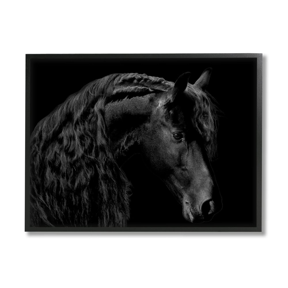 Stupell Industries Black Stallion Portrait Braided Horse Mane Modern Photography, Design by Samantha Carter