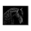 Stupell Industries Black Stallion Portrait Braided Horse Mane Modern Photography, Design by Samantha Carter view 1