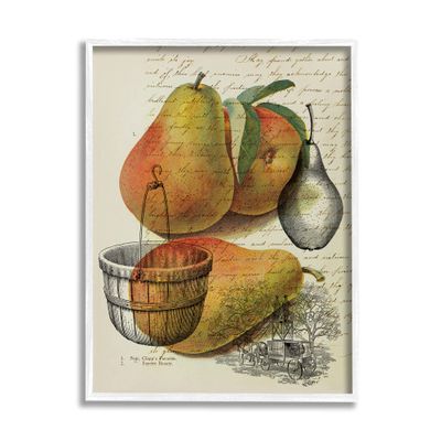 Stupell Industries Pear Fruit Harvest Illustration Vintage Text Passage, Design by Daphne Polselli